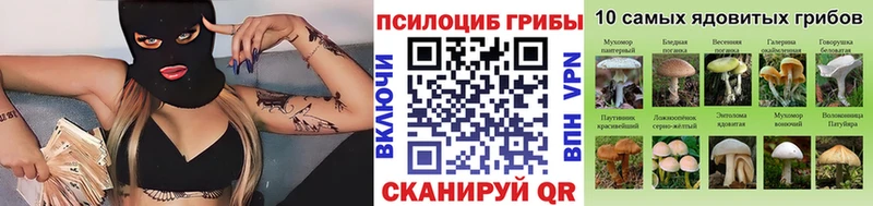 купить наркоту Медынь Галлюциногенные грибы Psilocybine cubensis